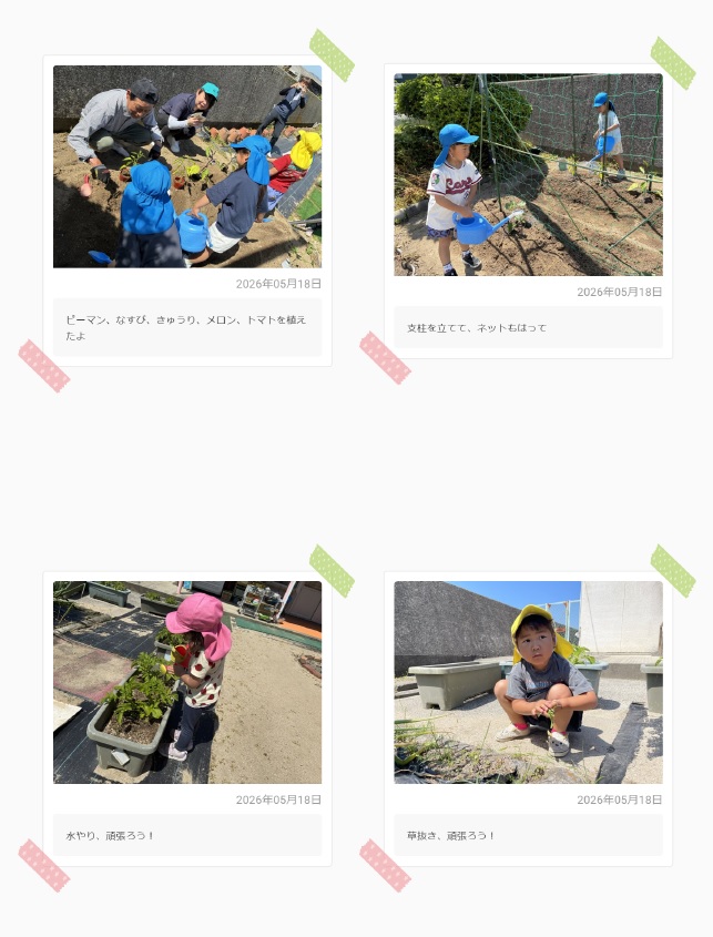 JAさんと夏野菜の苗植え