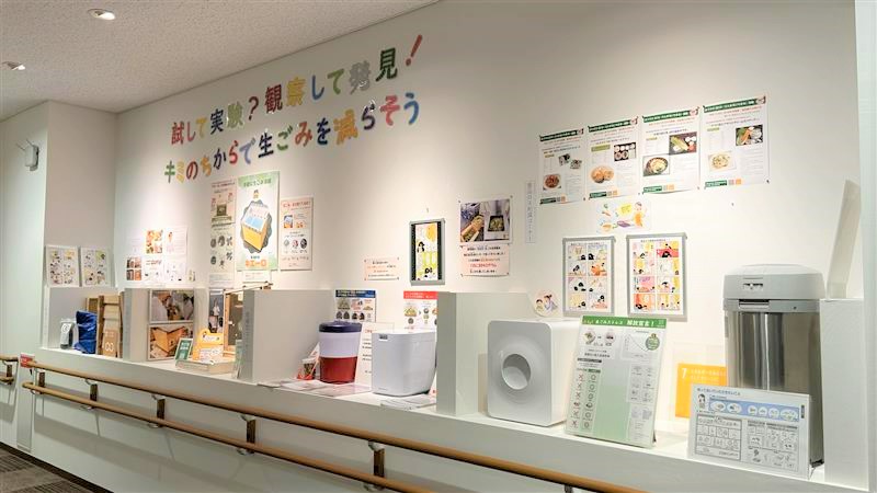 展示の様子
