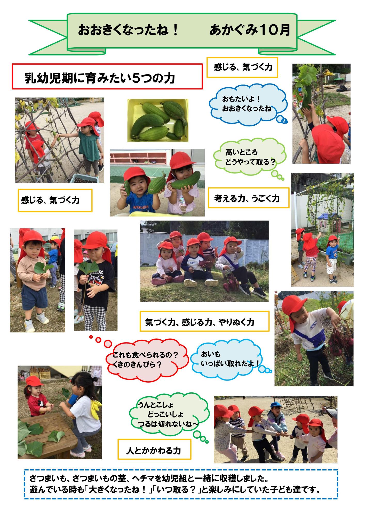 akagumijyuugatunoyousu