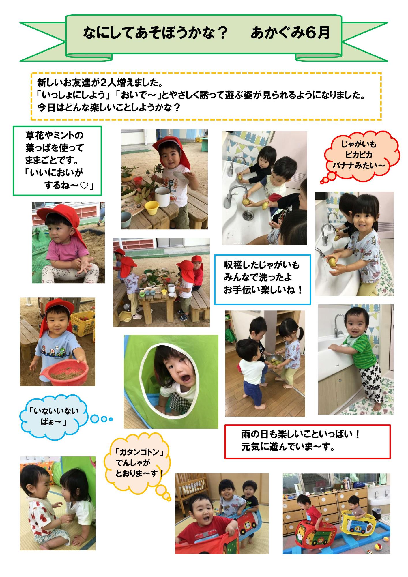 6月の赤組だより