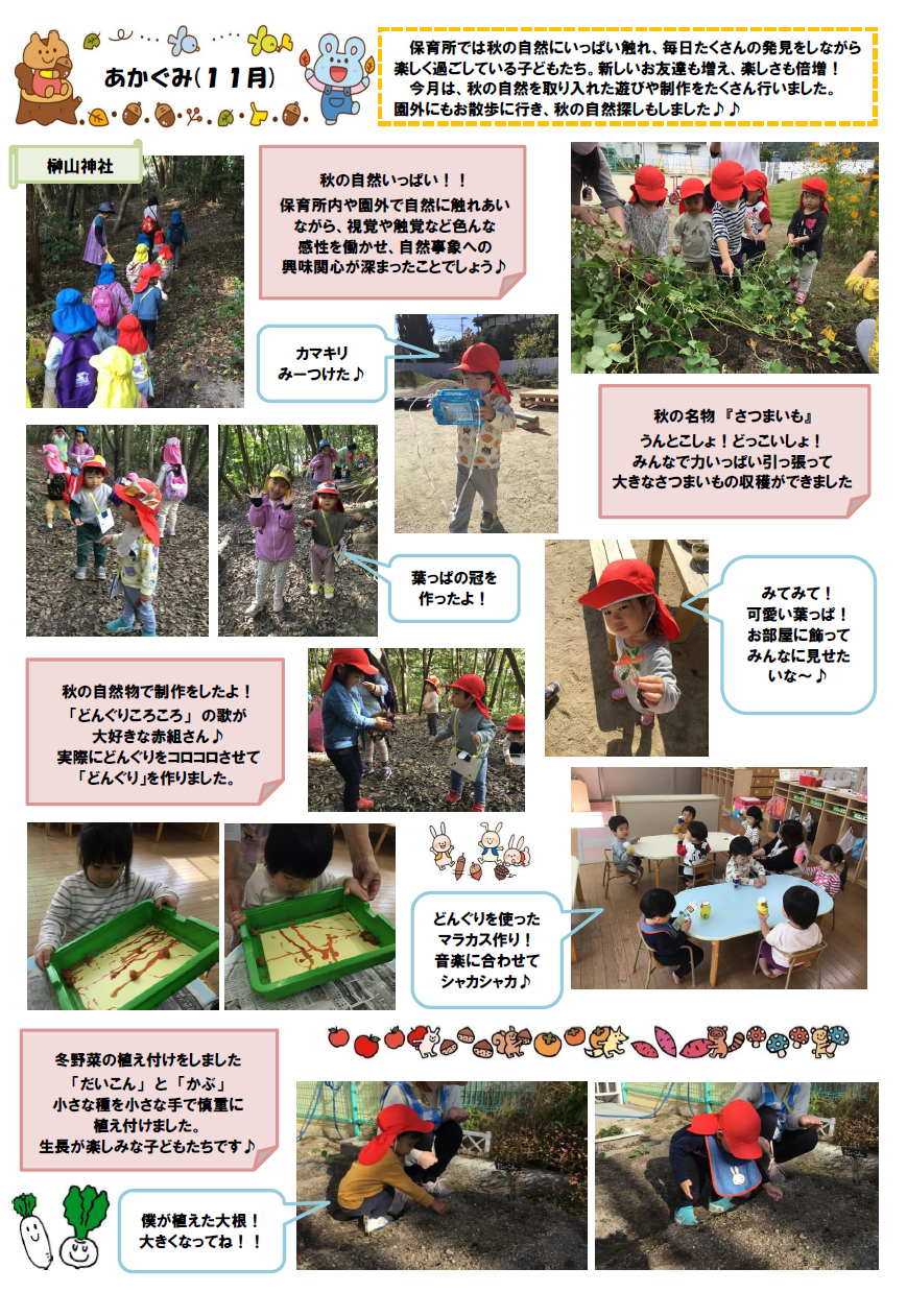 11gatuakagumidayori
