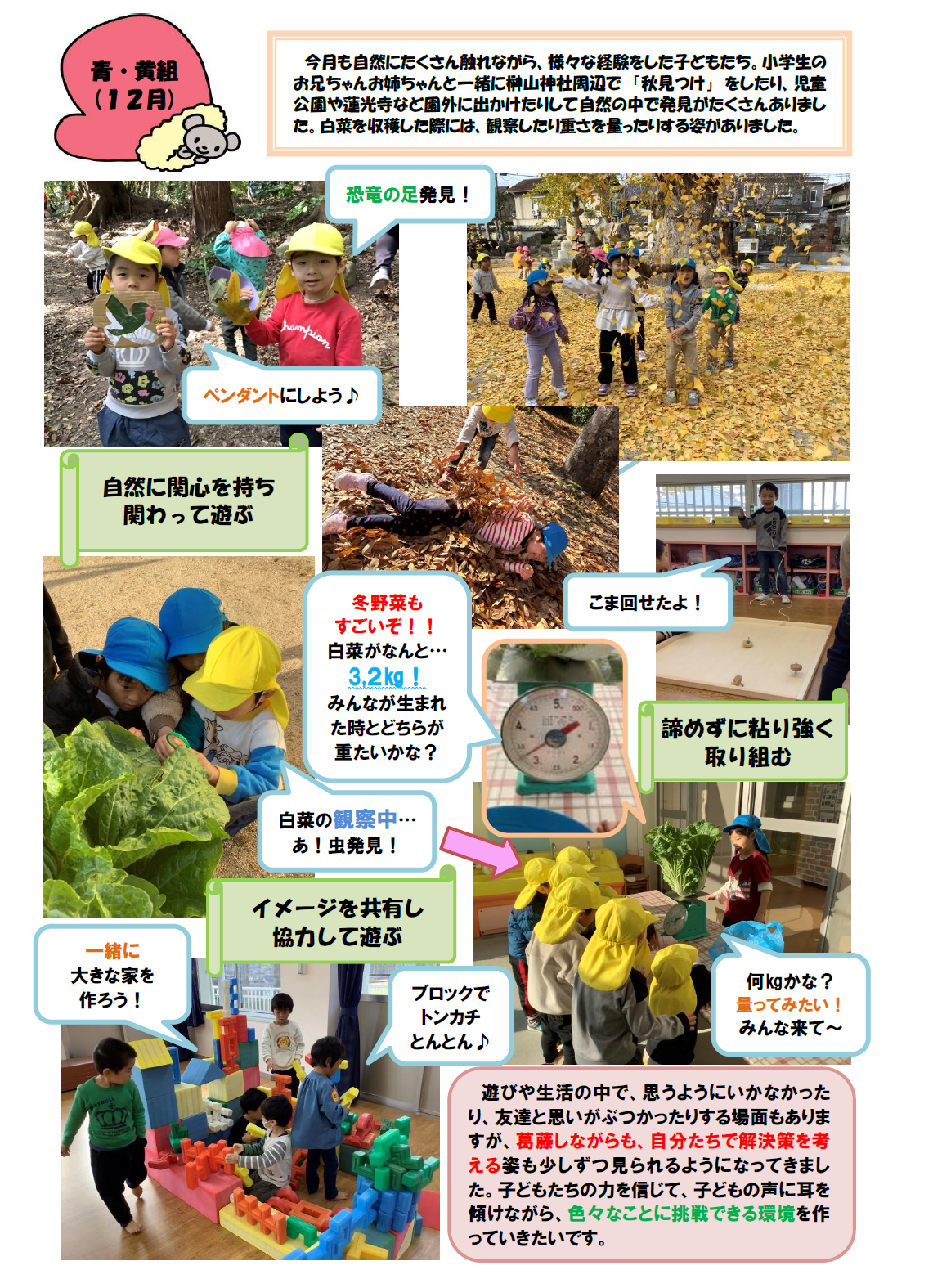 aokigumijyuunigatunoyousu