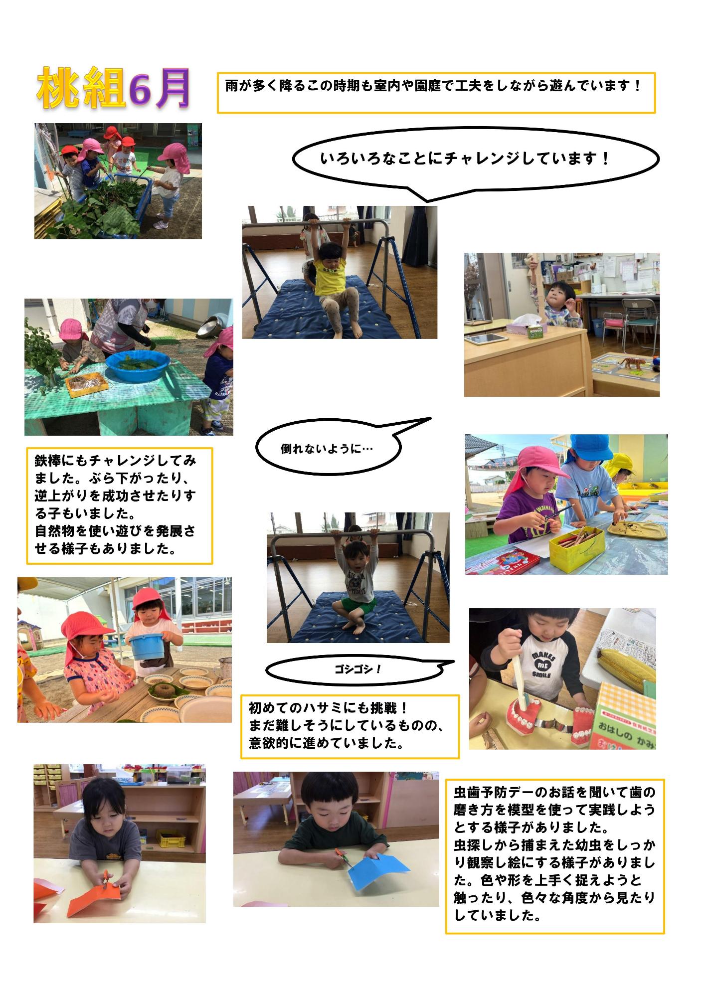 6月の桃組だより