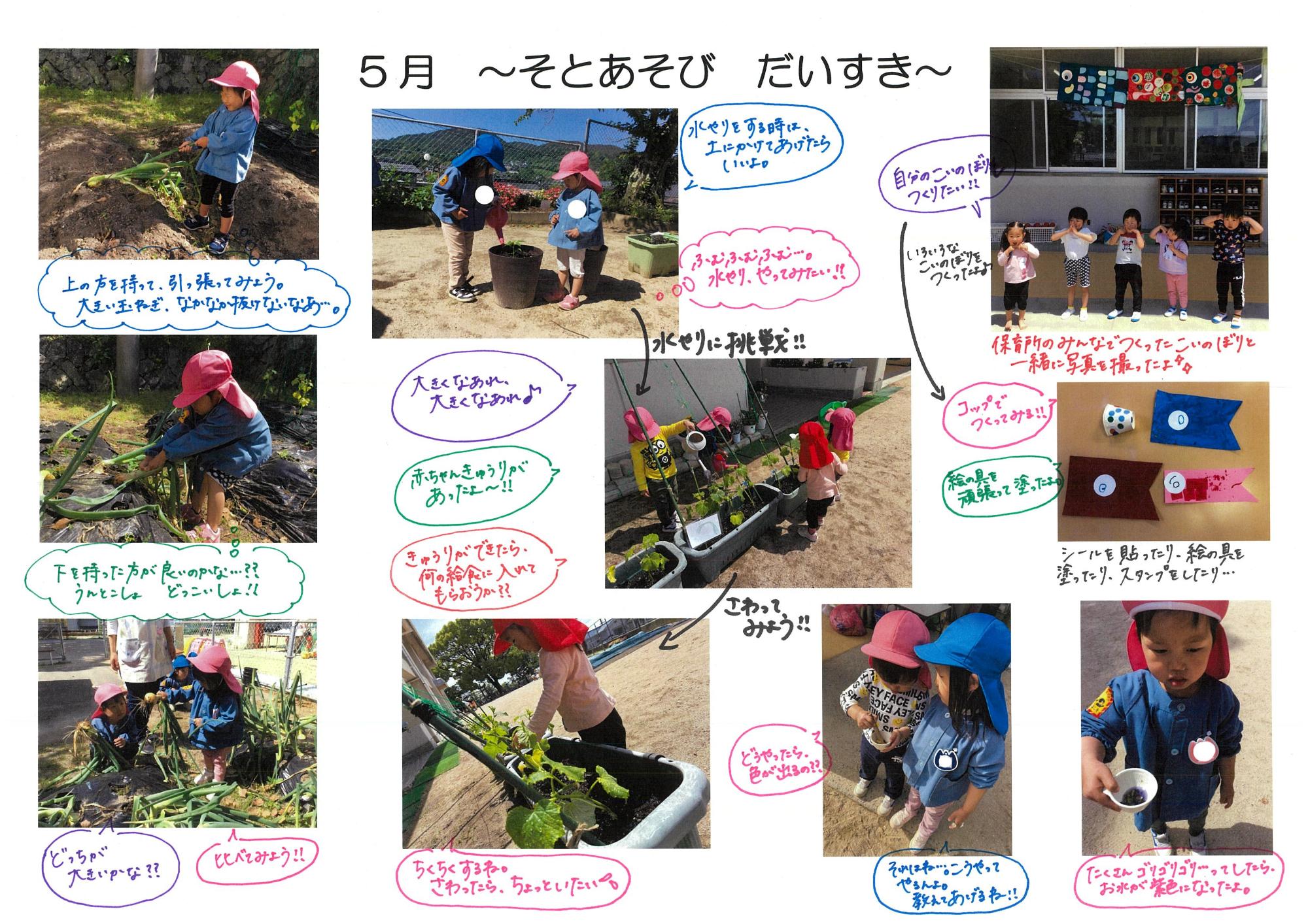 5月