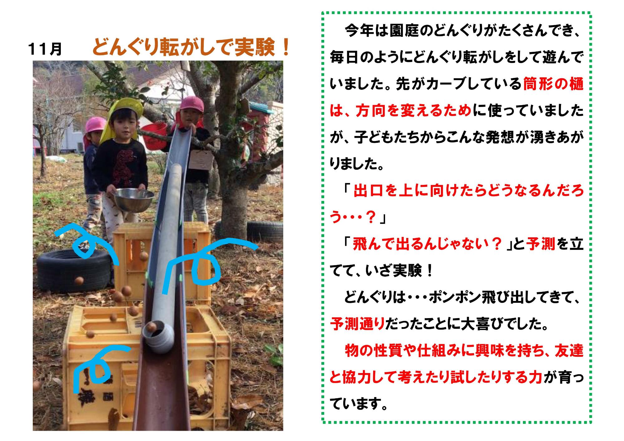 幼児組11月ドキュメンテーション