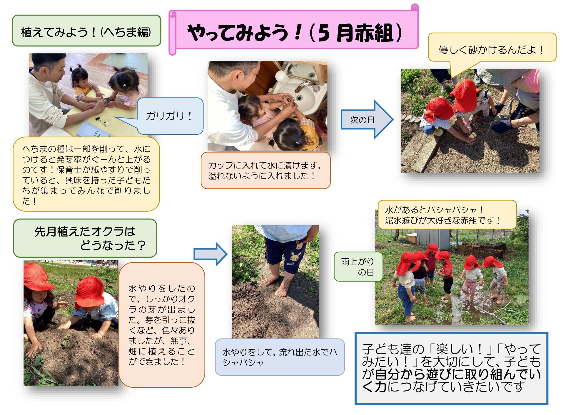 赤組5月ドキュメンテーション