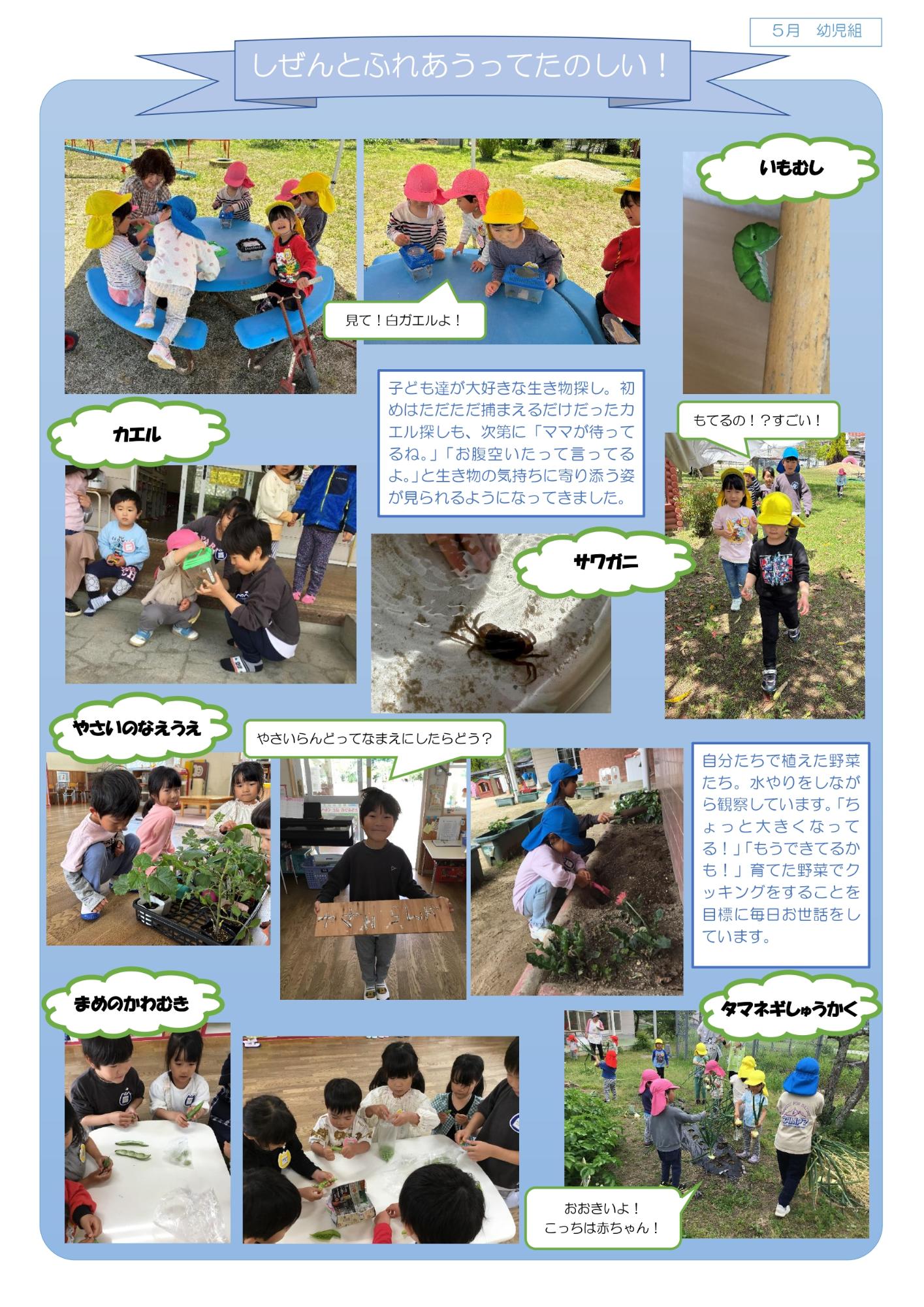 幼児5月ドキュメンテーション