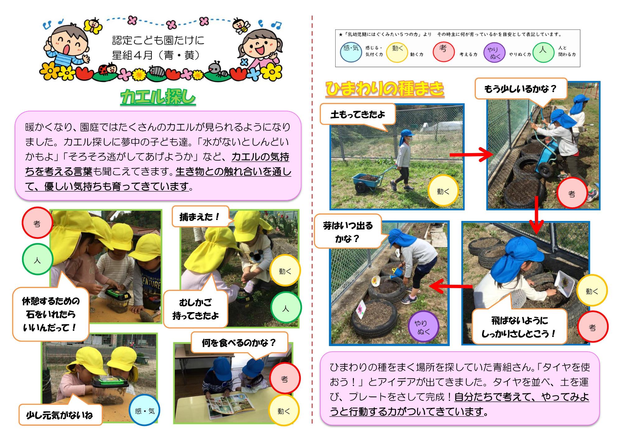 kaeruwotukamaetarihimawarinotanemakiwositeiruyousuwoosirasesiteimasu