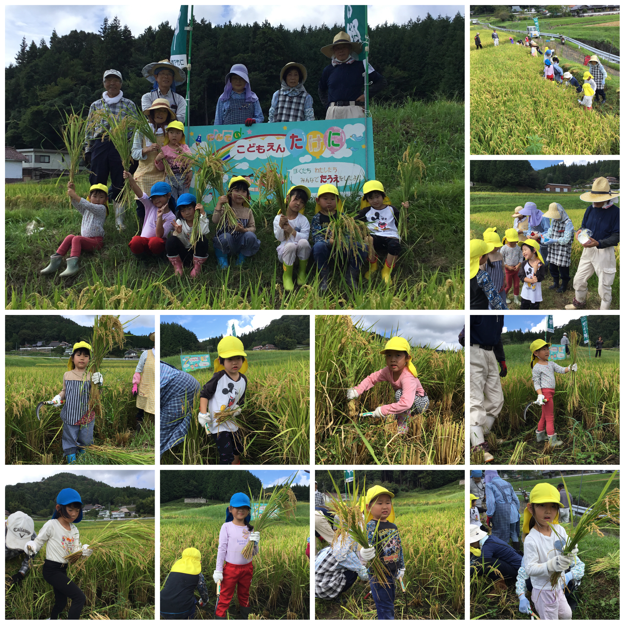 tiikinotannbodeinekariwosurukodomotatinoyousu