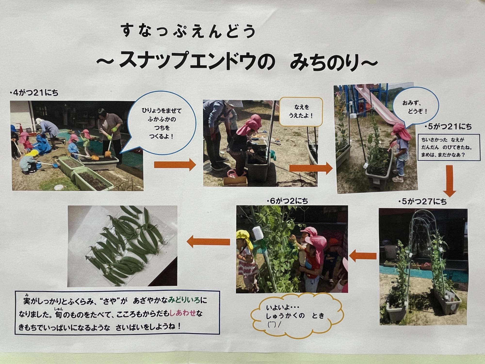 sunappuenndounoshuukakunoyousu