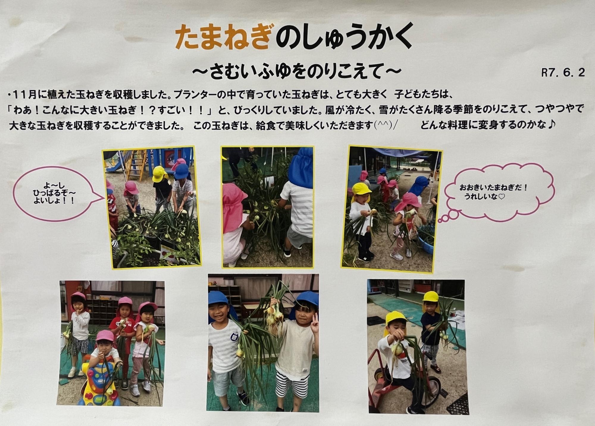 kodomoenndesodatetatamanegiwoshuukakushitayousu