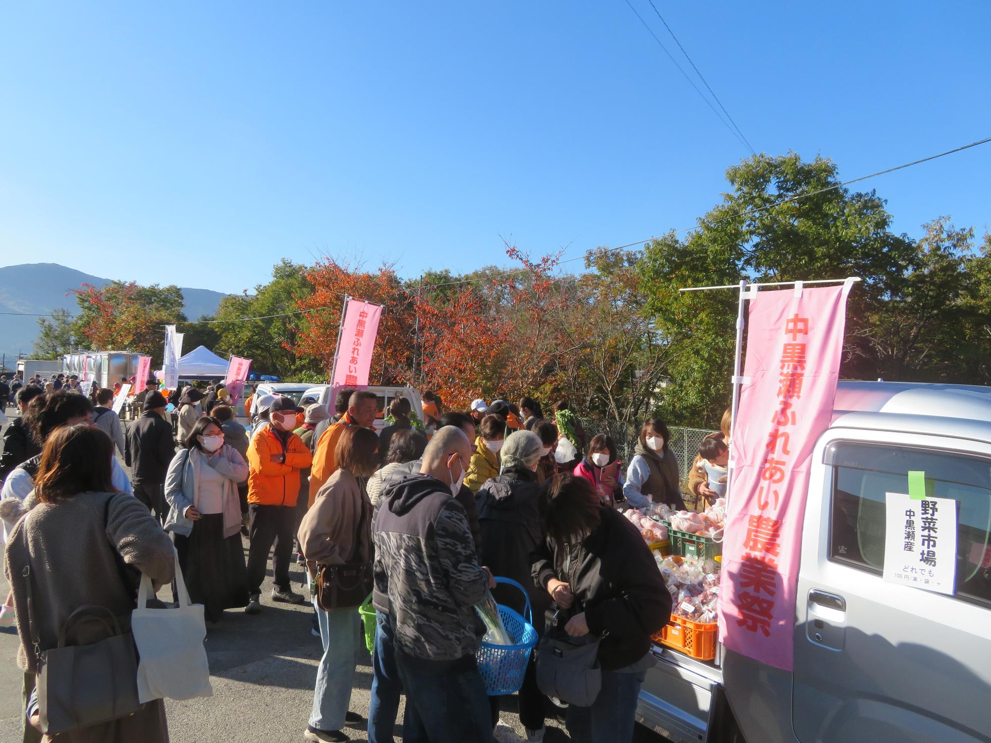 ふれあい農業祭（野菜市場）