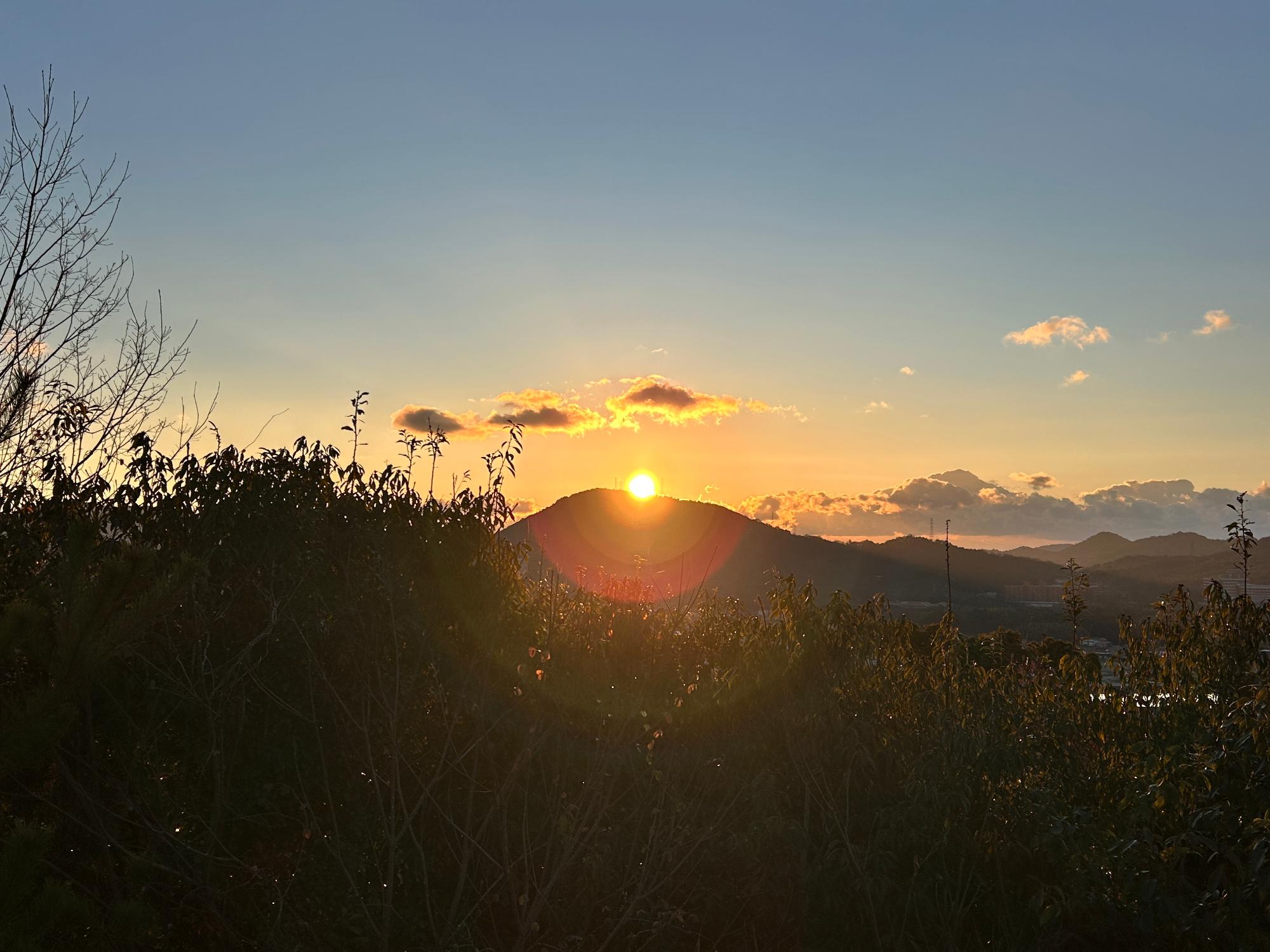 日の出ウォーク2026-06