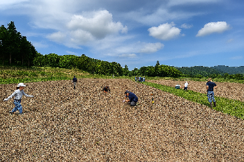 KANNSEI4