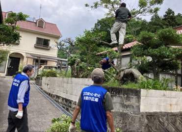 生活支援活動の例