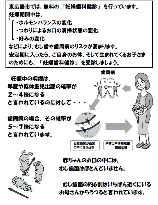 妊婦歯科健診案内