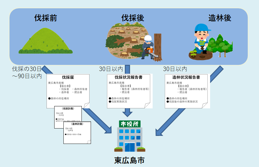 伐採届の流れ