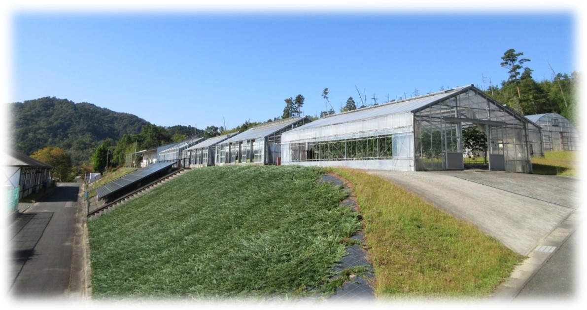園芸センター温室