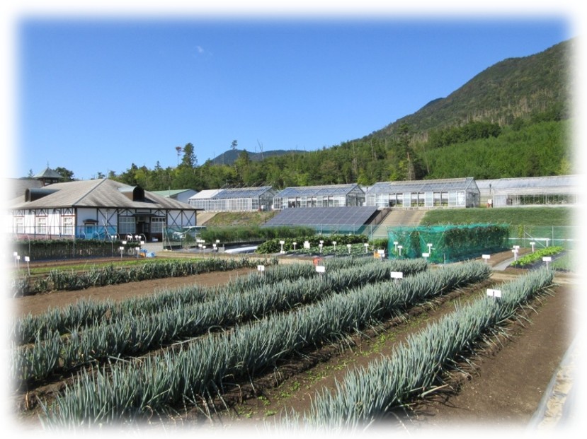 園芸センターほ場1