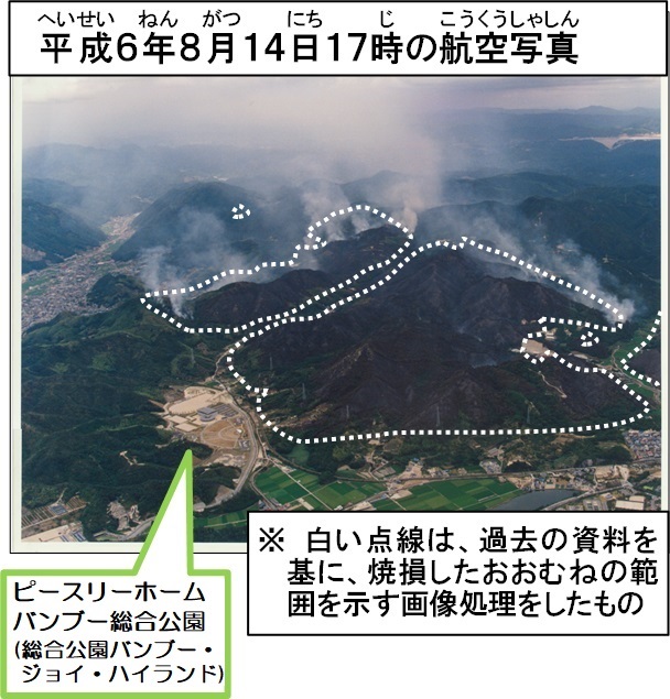 平成6年の山火事の航空写真