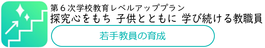 レベルアッププラン（若手教員の育成）