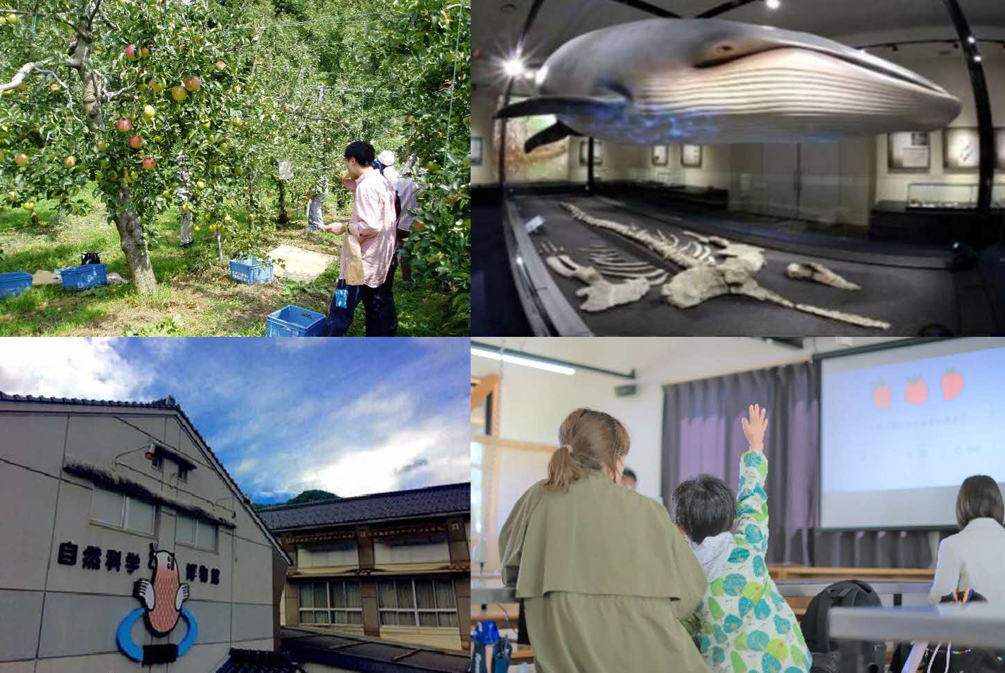 平田観光農園・庄原市立比和自然科学博物館
