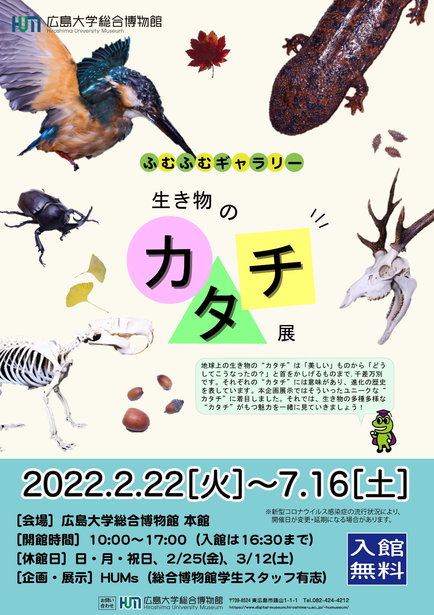 ふむふむギャラリー「生き物のカタチ展」