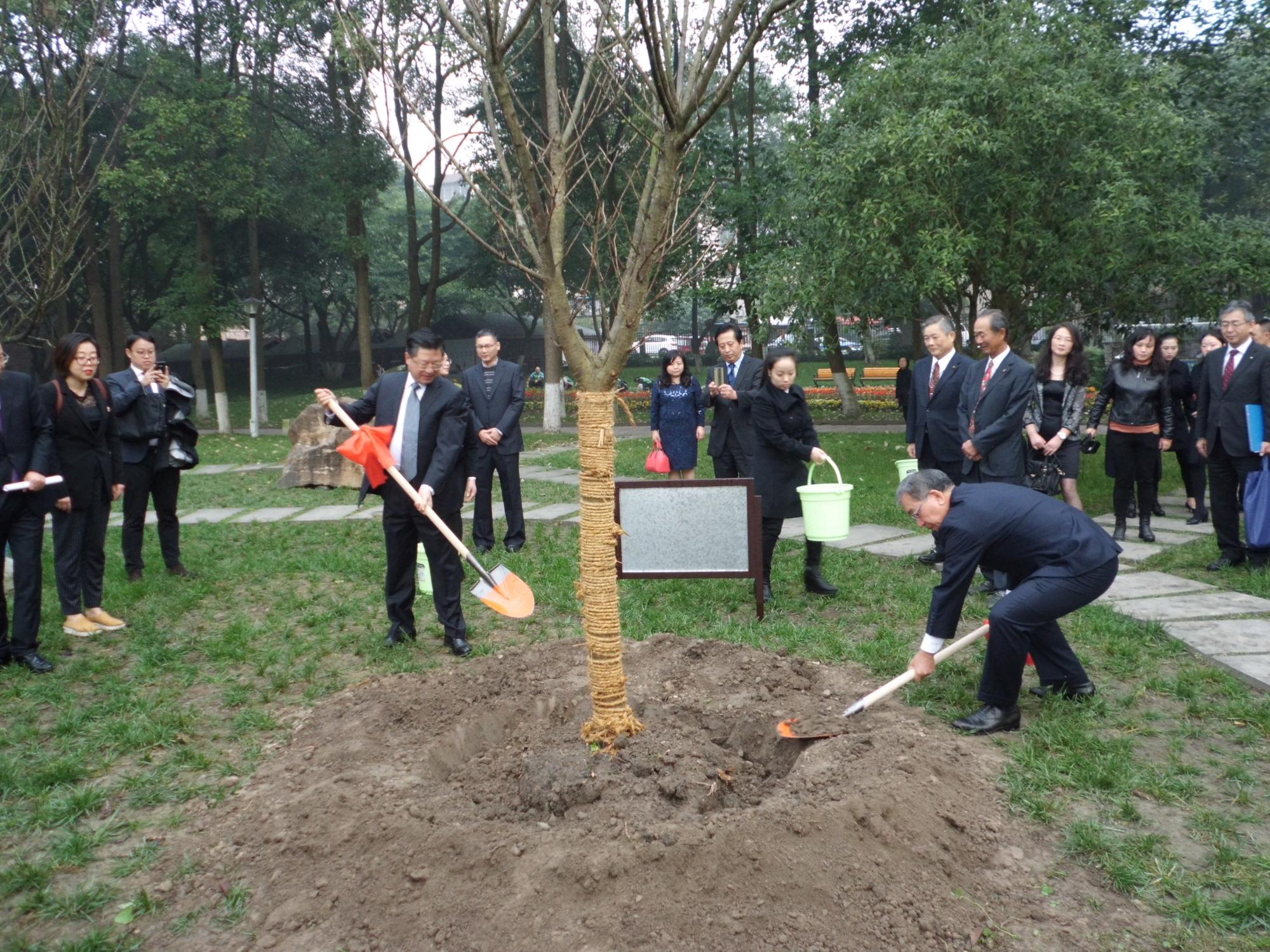 徳陽市内の公園での記念植樹の様子