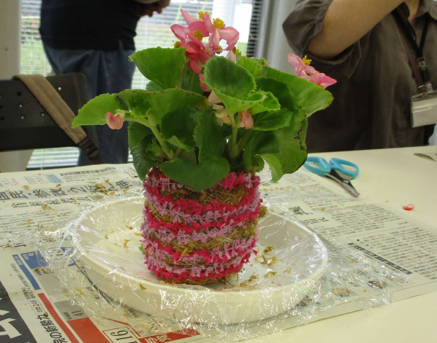 やまぐちフラワー(こけ玉)