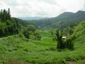 宇山の田園風景の写真
