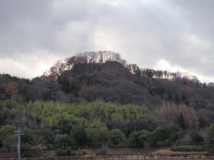 鏡山公園から見た鑑山城跡の写真