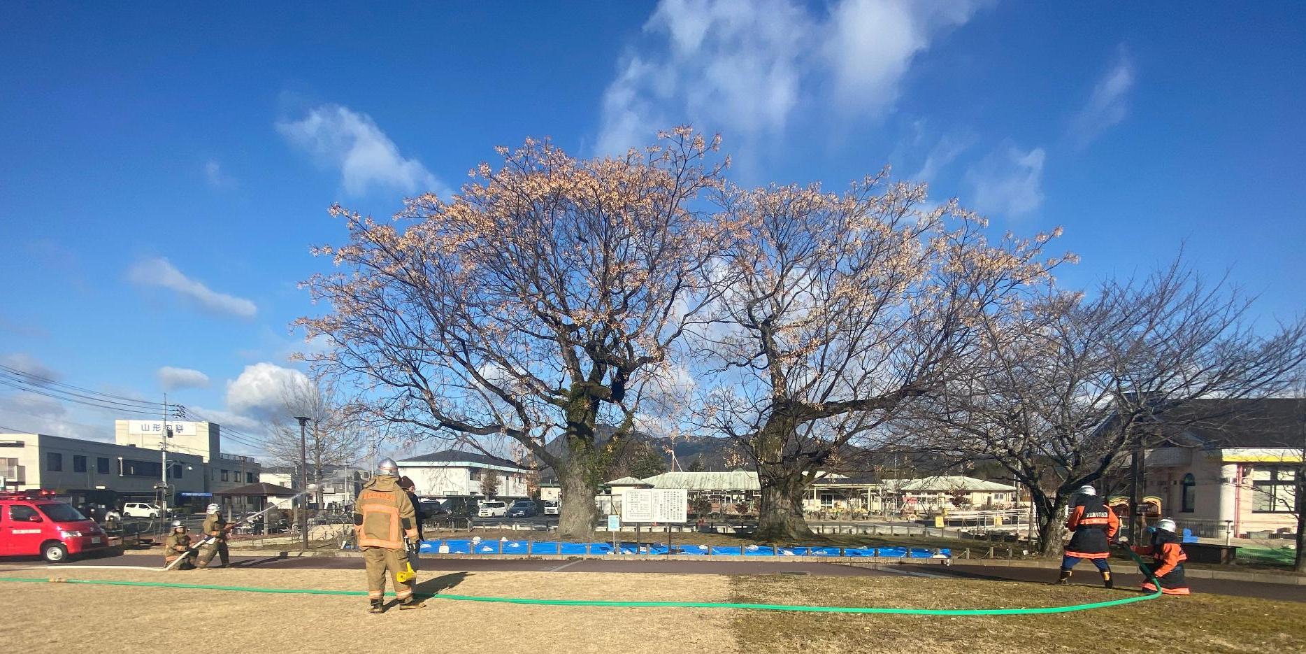 真ん中にある木を目標に左右から放水されている様子