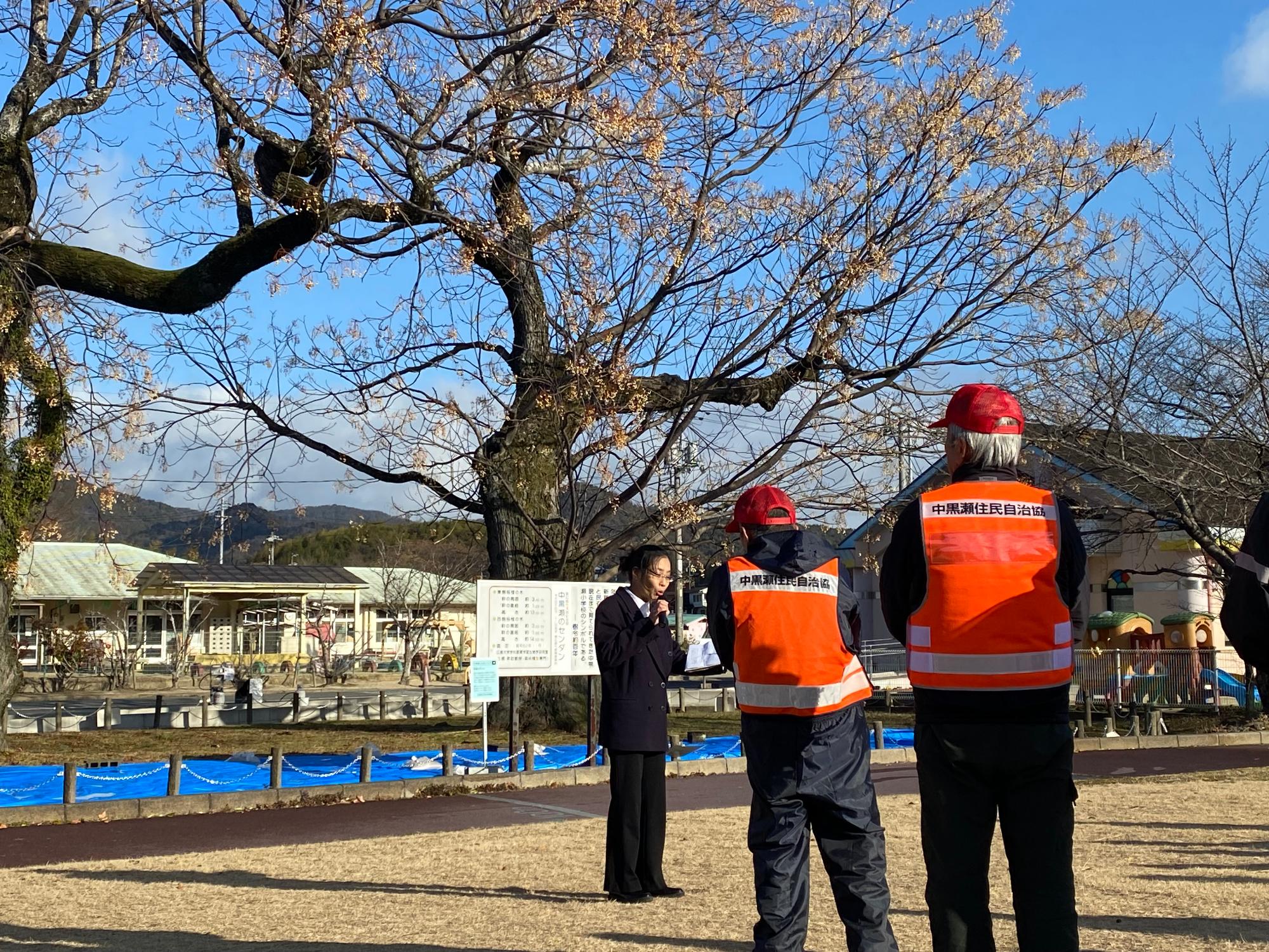 センダンの前で解説を行う女性