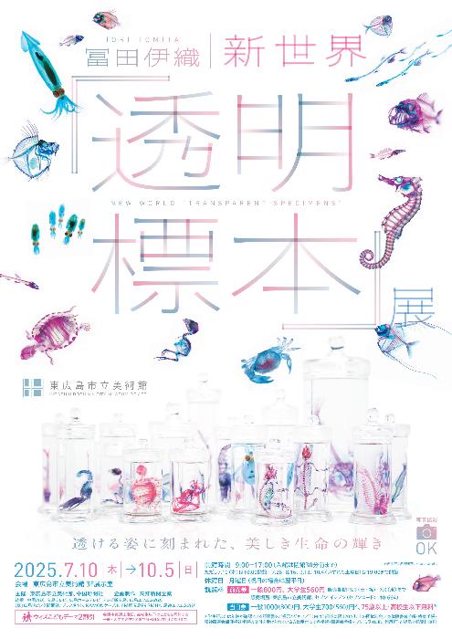 透明標本展チラシ