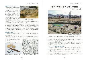 東ひろしまの遺跡4(2)