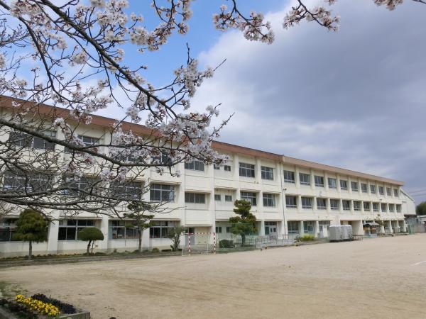 郷田小学校の校舎と桜が写っている写真の画像