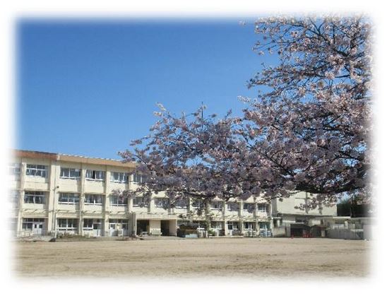 郷田小学校の校庭の桜